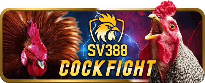 Quy trình đăng ký và các cấp độ VIP vin88 chính thức